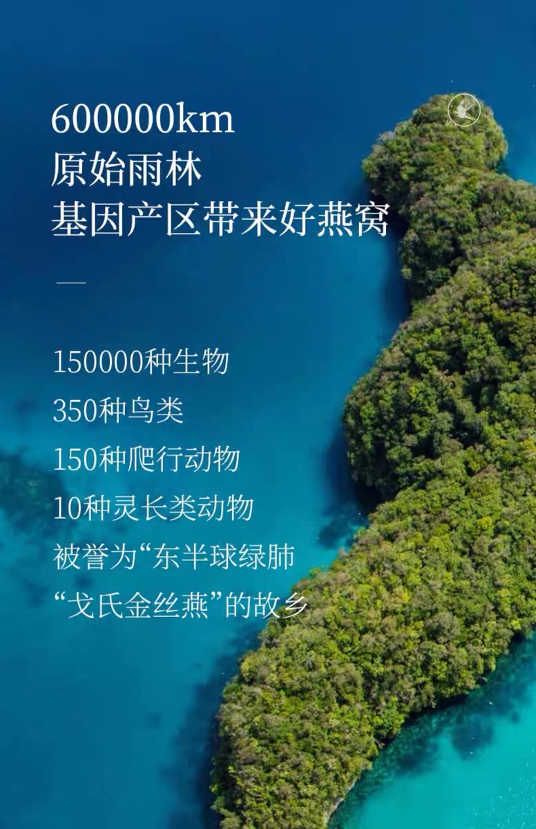 1740312478979231.jpg ba5461d403c0486a5cd2c00195ca228.jpg